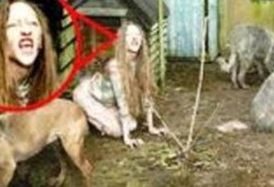 狼孩在线观看,重返人类世界的惊心动魄之旅